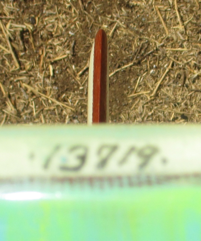 Serial number of 1966 Hansen Master - Vintage Surfboard